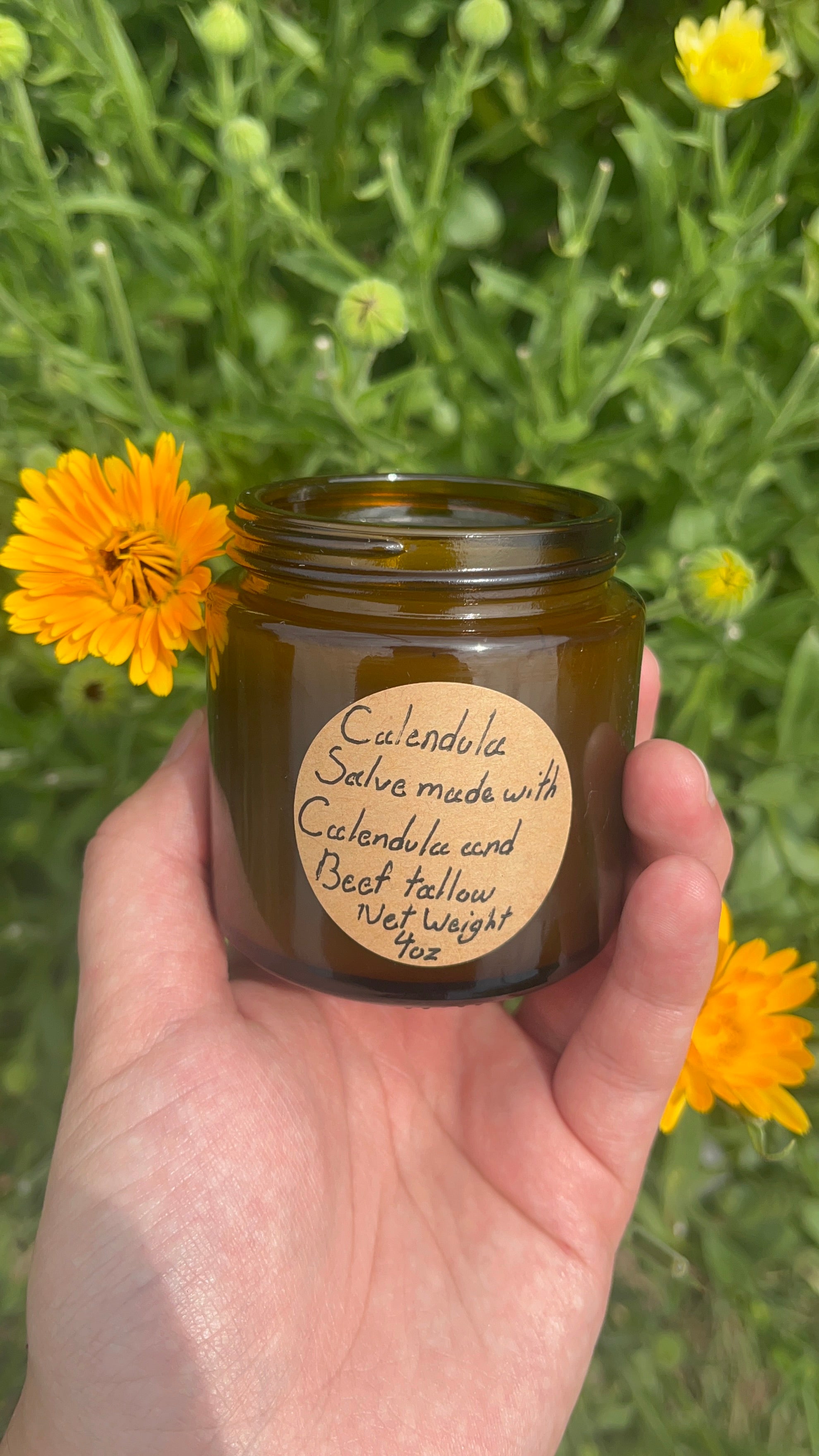 Calendula salve