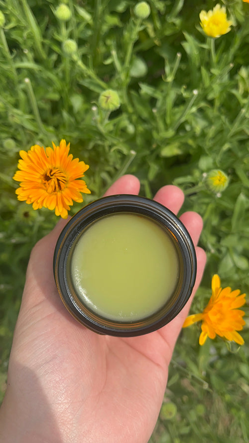 Calendula salve