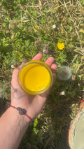 Shea butter dandelion salve