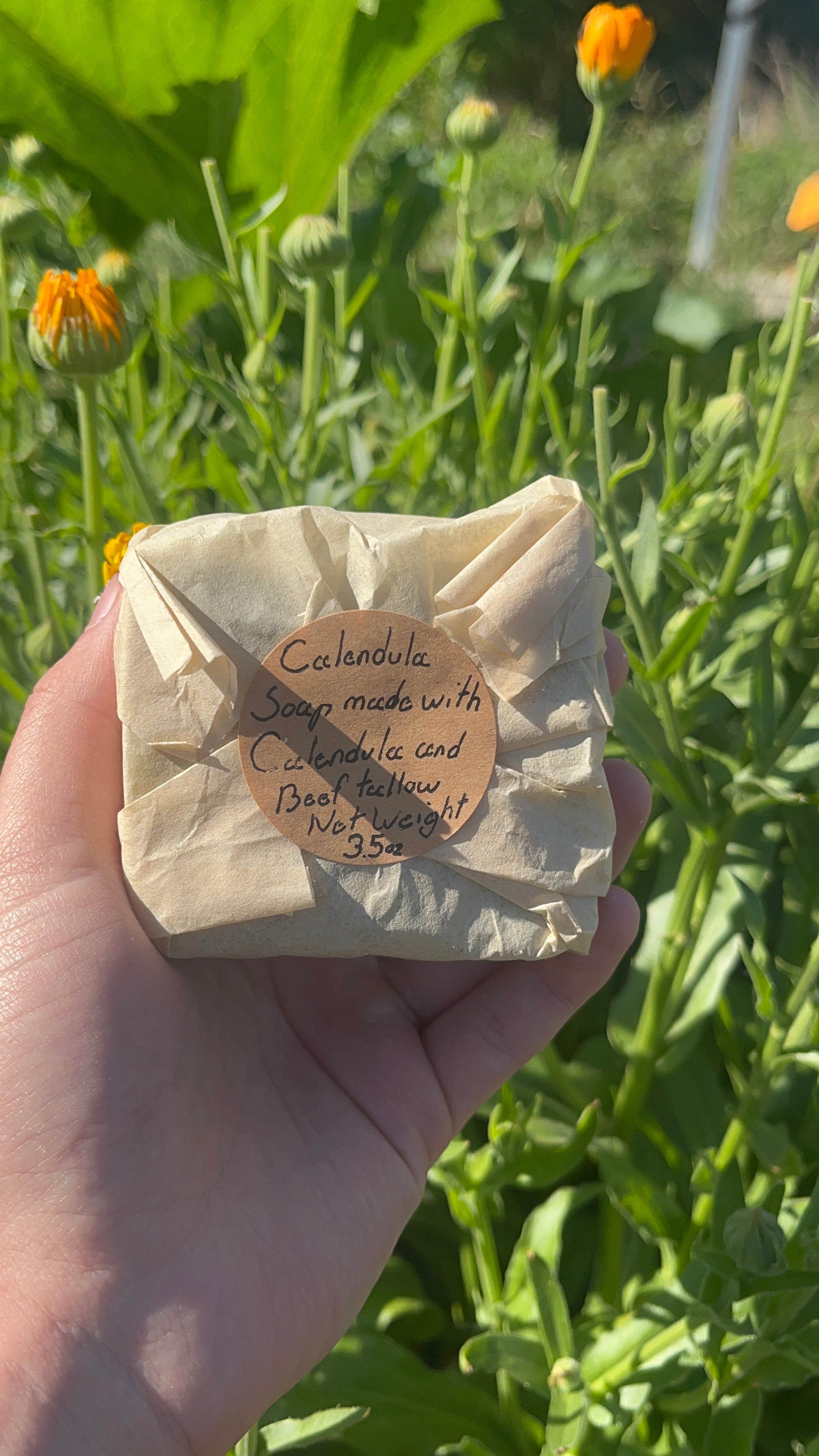 Calendula soap