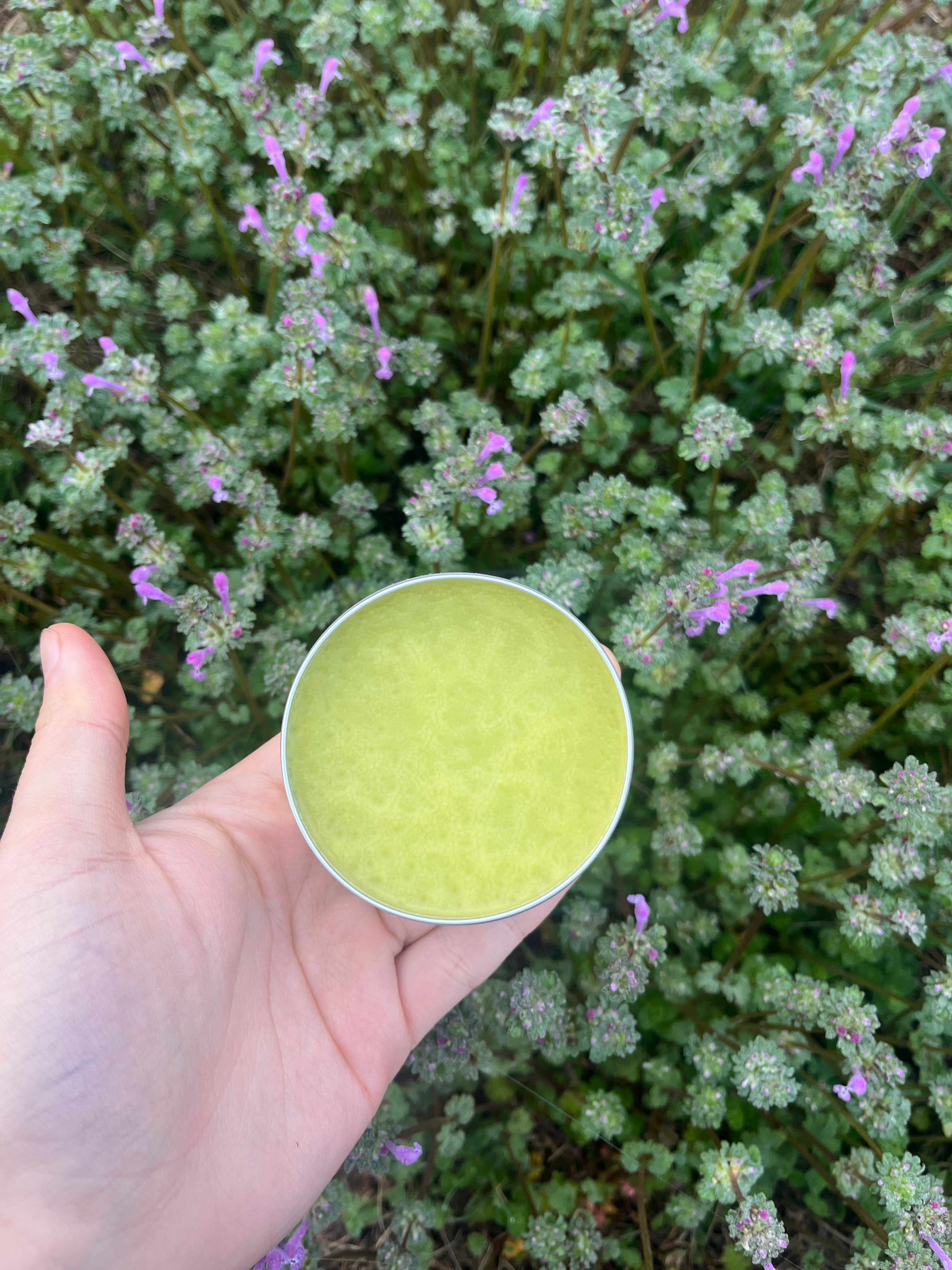 Henbit salve