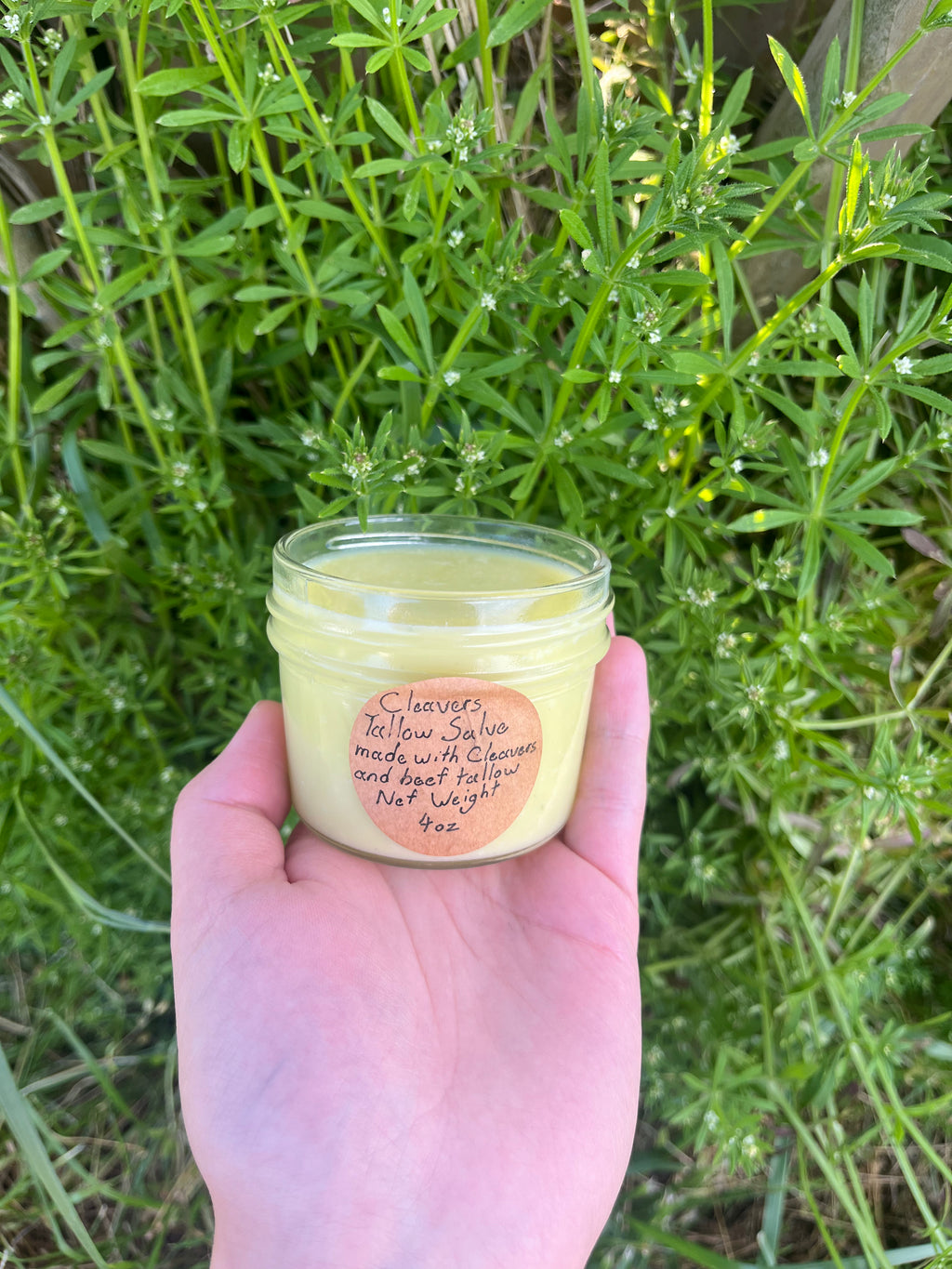 Cleavers tallow salve