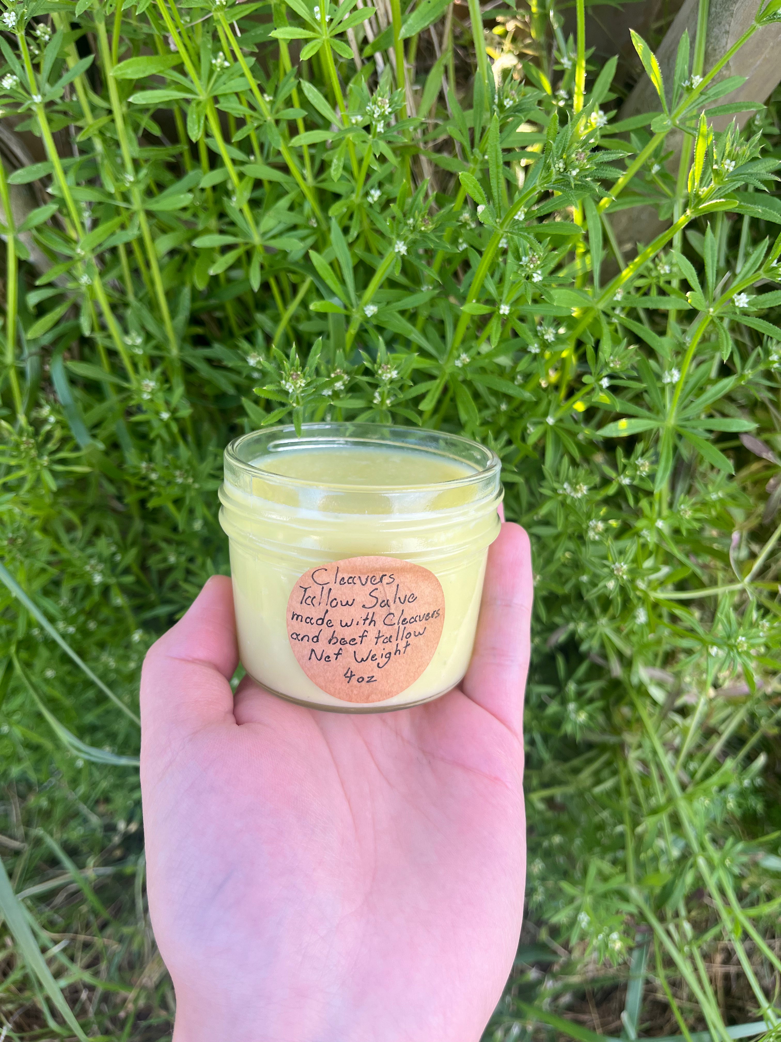 Cleavers tallow salve