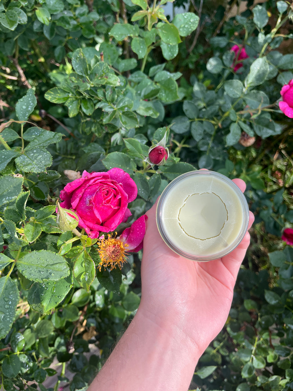 Rosey Sage salve