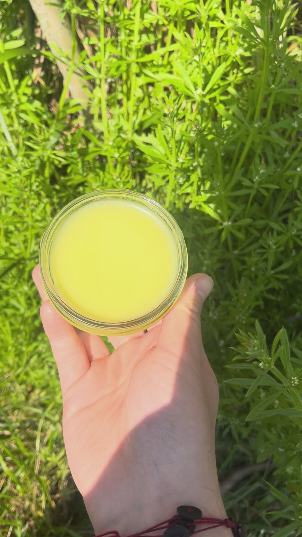 Cleavers tallow salve