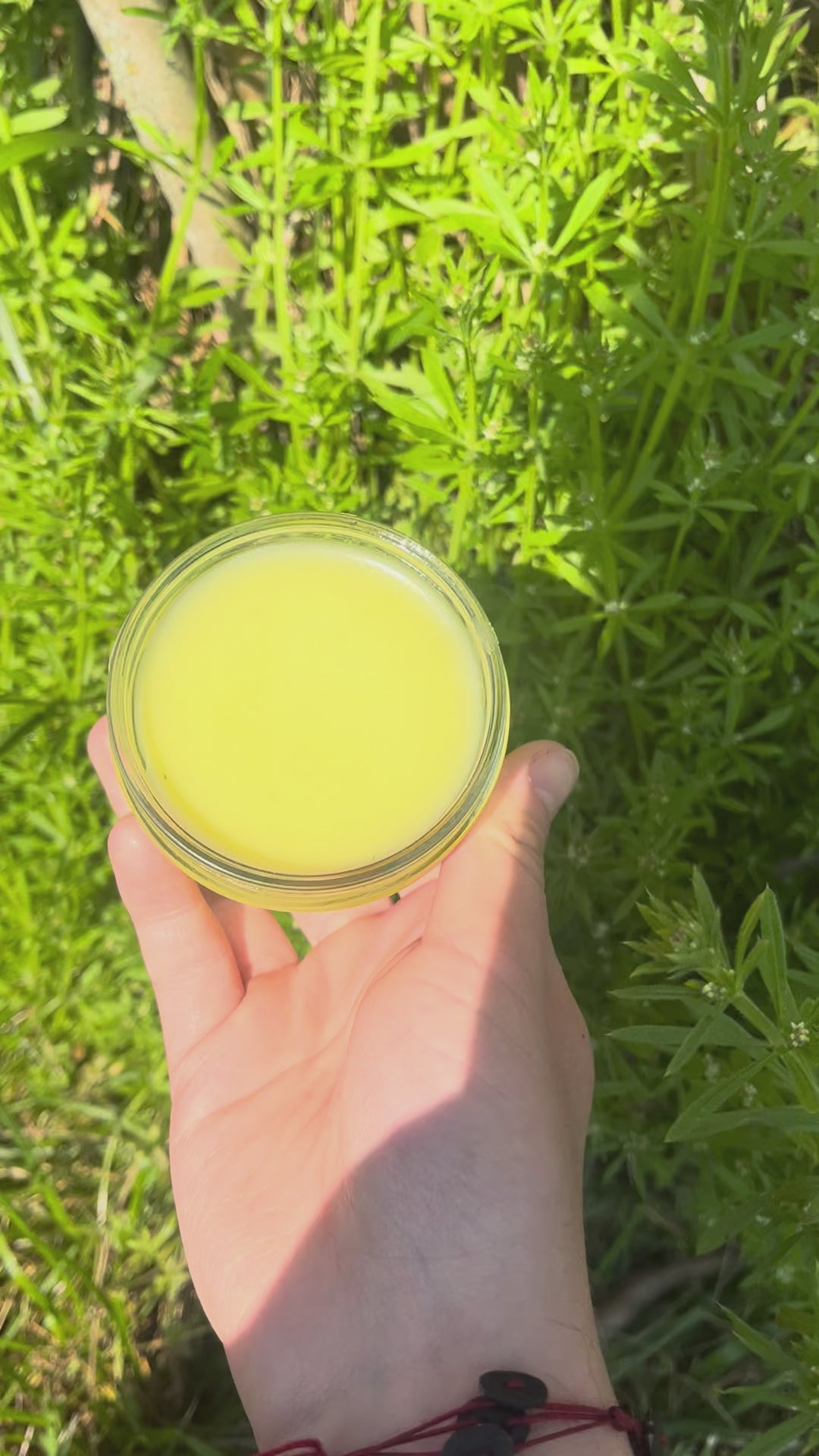 Cleavers tallow salve