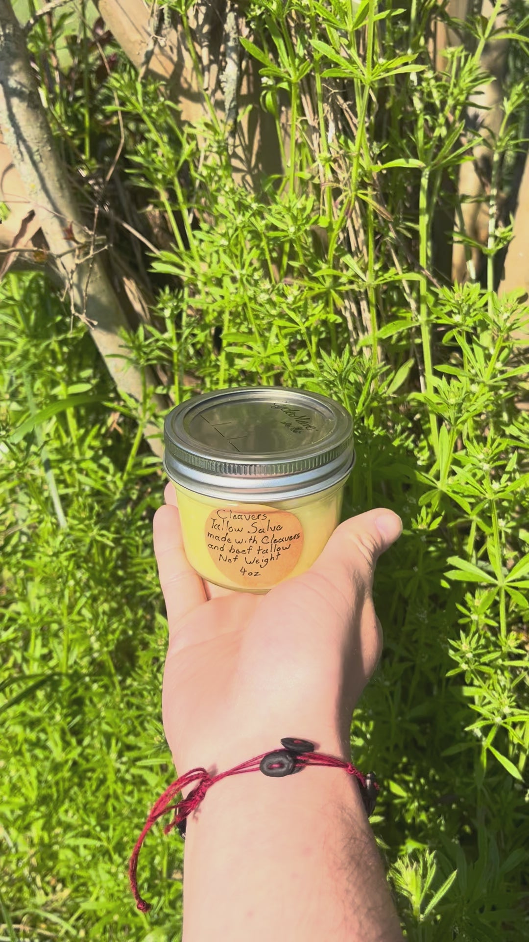 Cleavers tallow salve